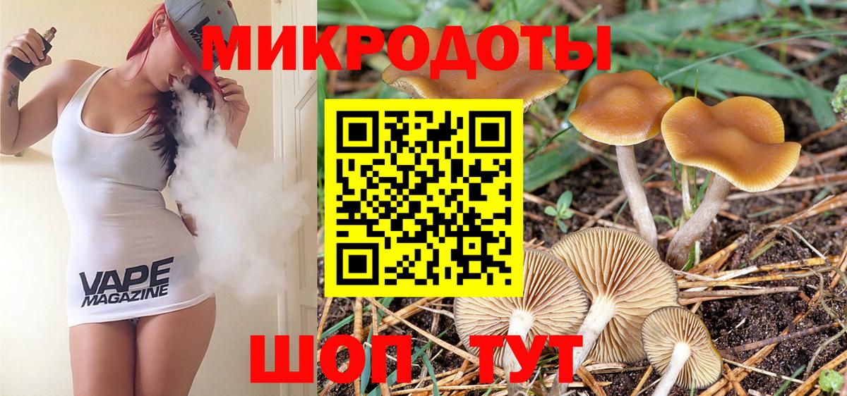 Белово  Псилоцибиновые грибы Psilocybine cubensis  Вход с VPN 