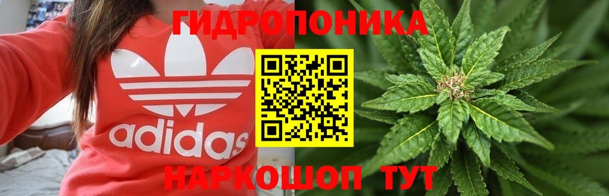 Каннабис Bruce Banner Белово